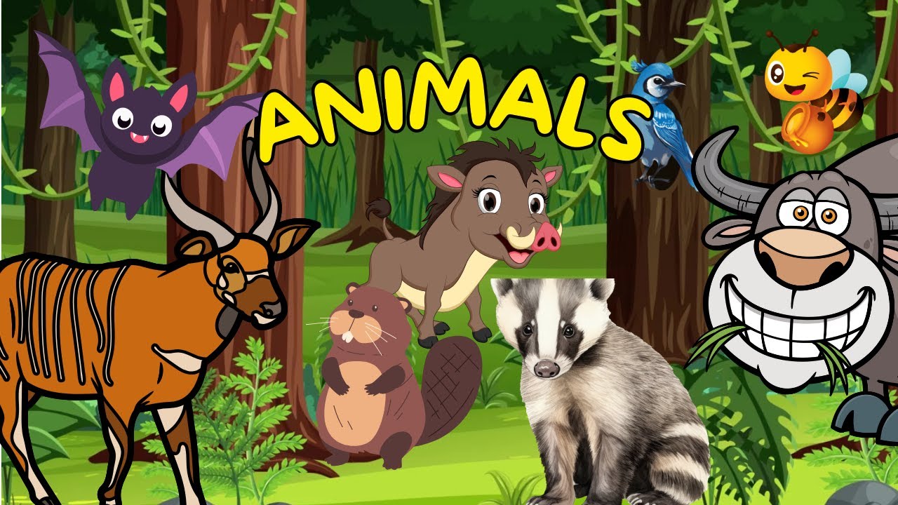 Animals for Kids | 20 Animals That Start with B | Learn Animal Names for Kids | Educational Video