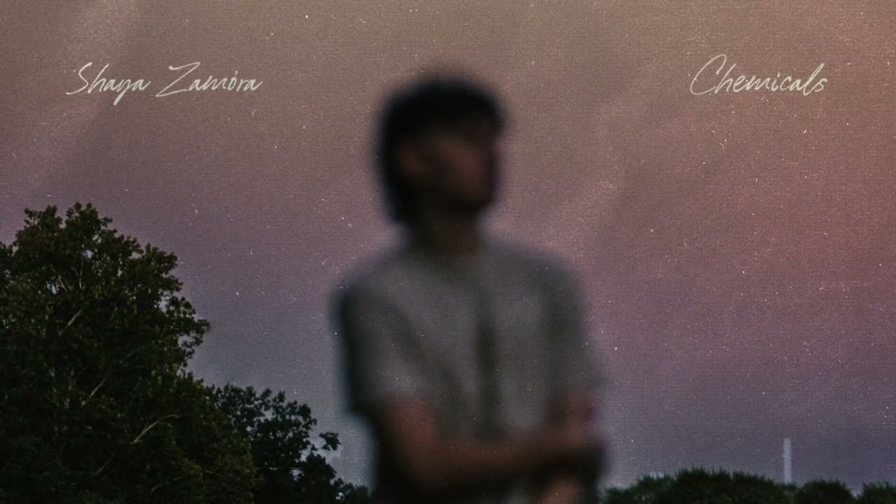Shaya Zamora - Chemicals [Lyric Video]