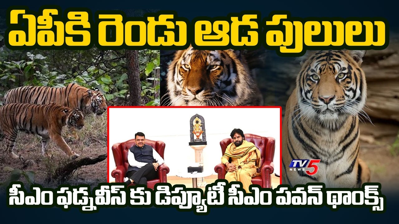 Dy CM Pawan Kalyan Meets CM Devendra Fadnavis In Mumbai Visit | Full Details | TV5 News