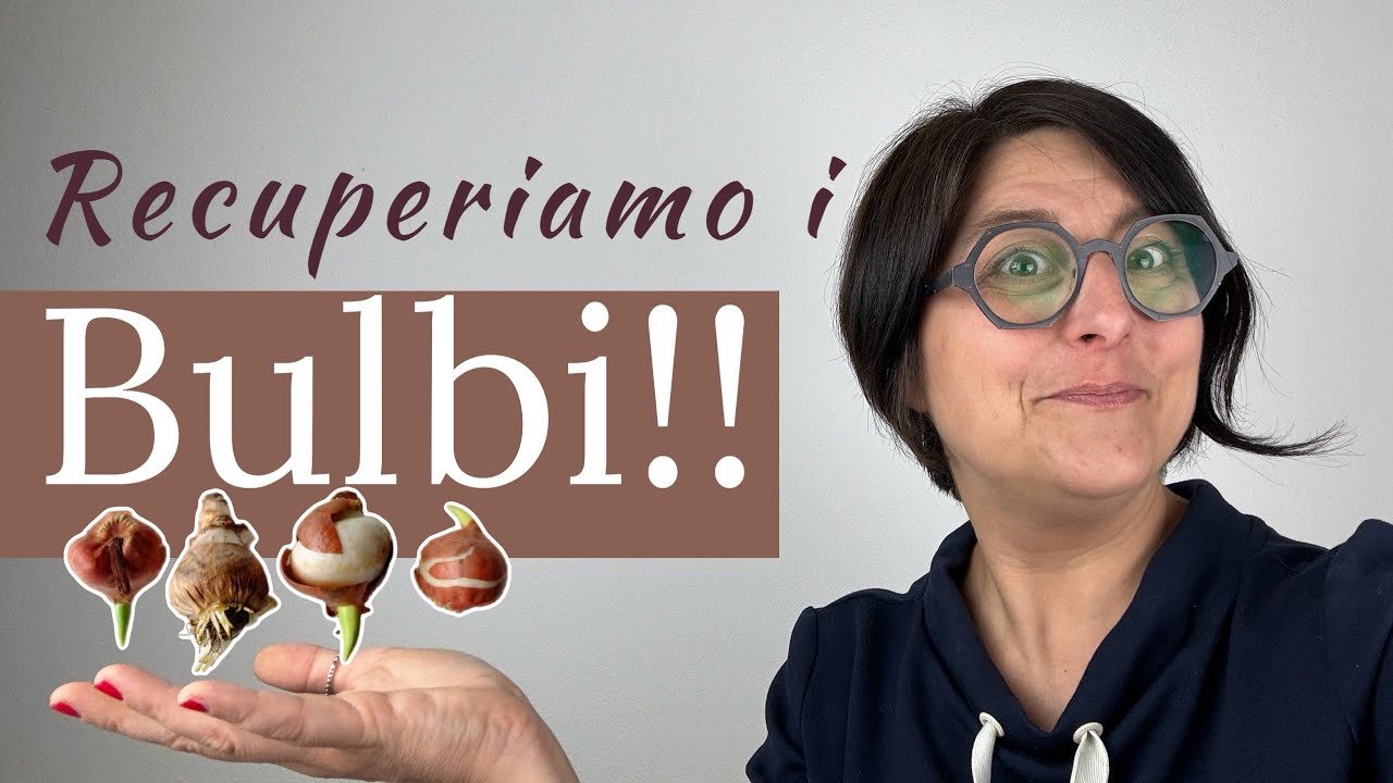 Bulbi di tulipani: come recuperarli e conservarli al meglio