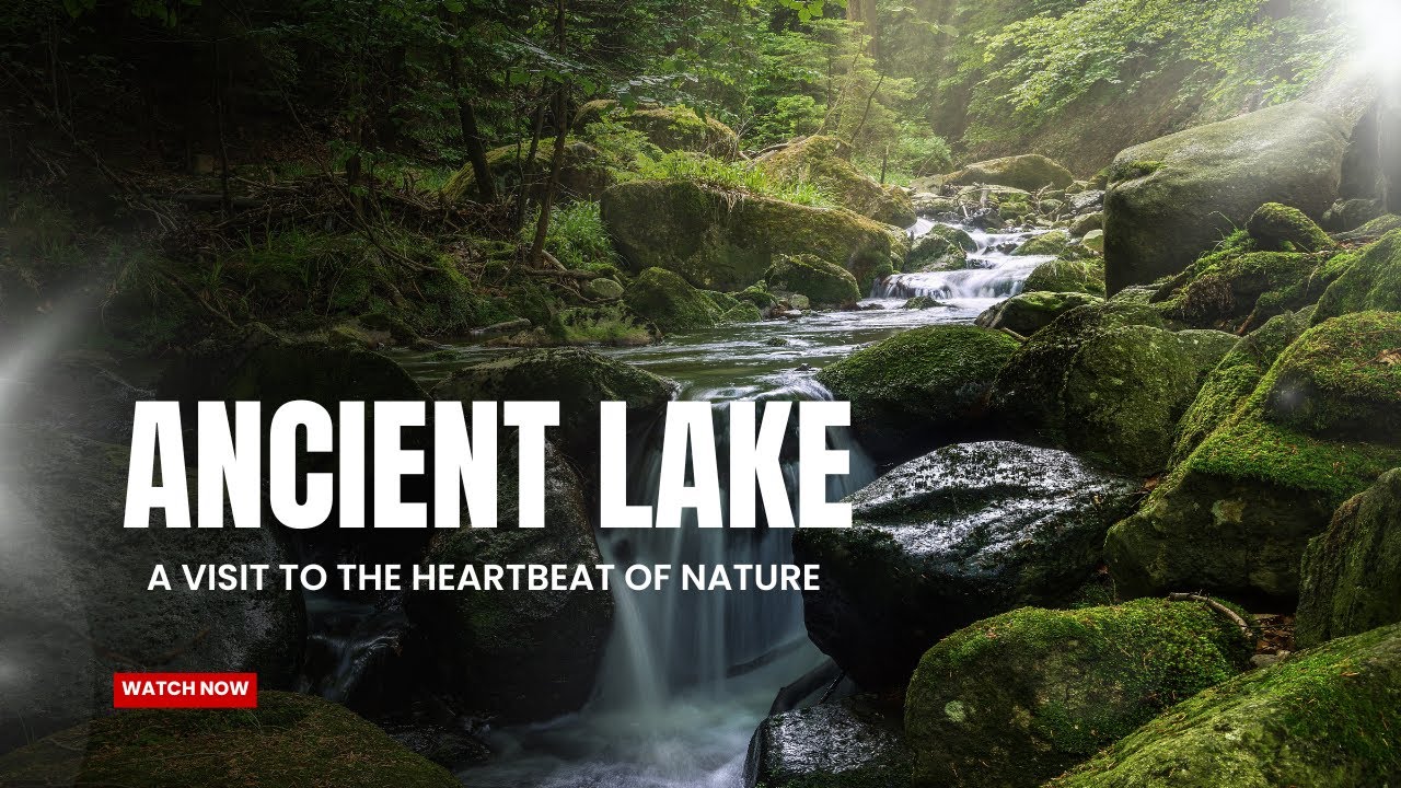 Khir Sinyi: Unveiling the Submerged Lake of Yazali | Keyi Panyor | Arunachal Pradesh |