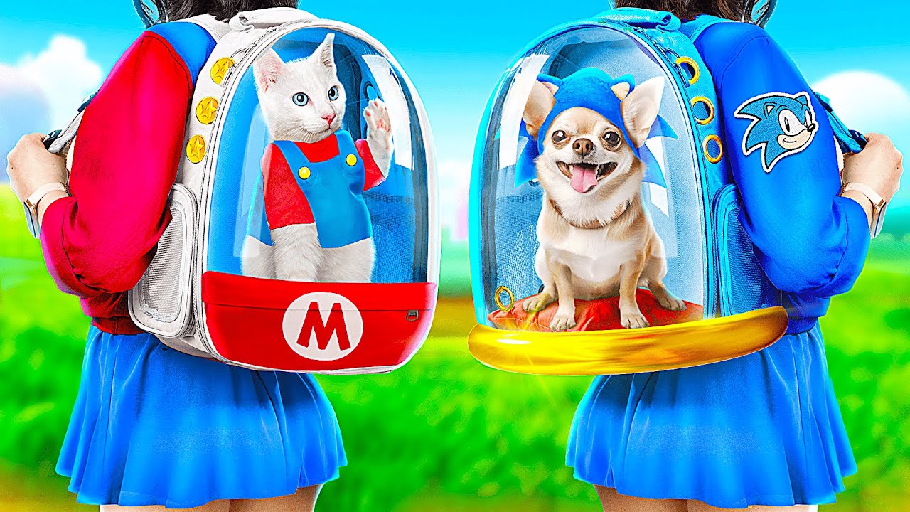 Kedi ye karşı Köpek! Evcil Hayvanlar İçin Bir Oda Nasıl İnşa Edilir?