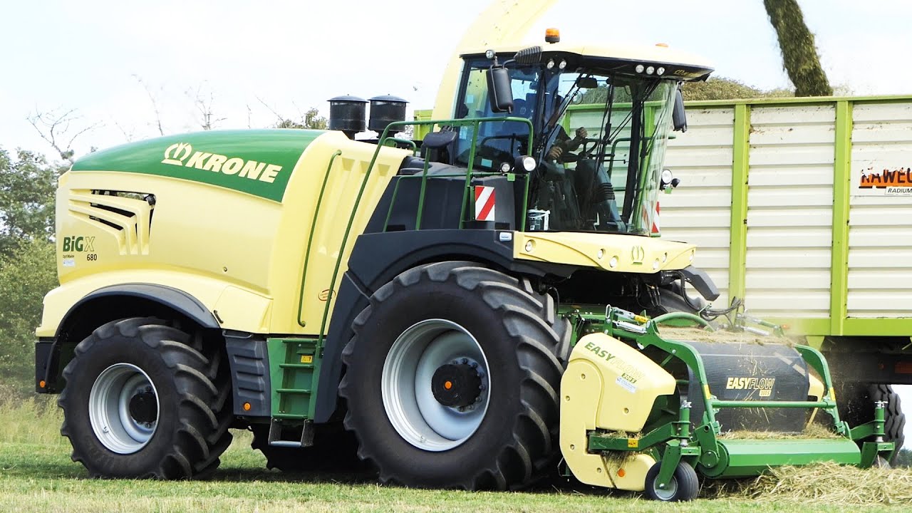 Krone Big X 680 in the field chopping crops for silage | Danish Agriculture | Chopping Season 2021