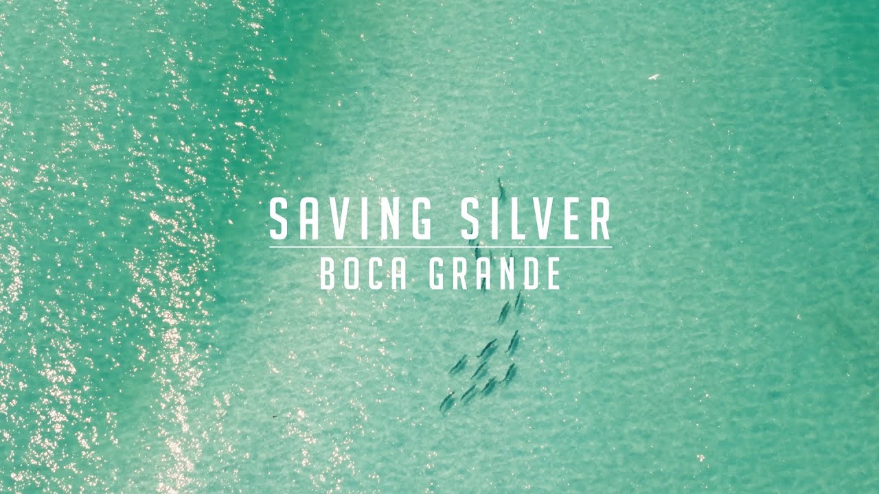 Saving Silver: Boca Grande