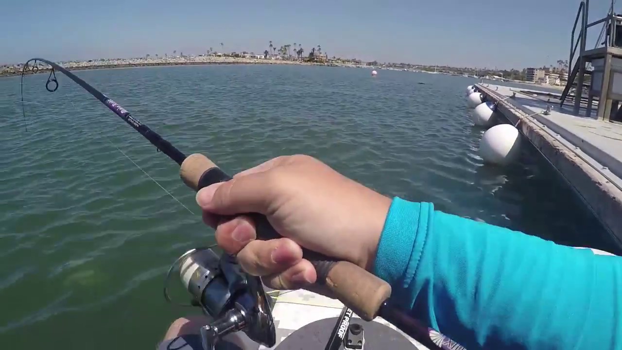 Stand up paddle board SUP fishing Newport Harbor | Calico and Sand Bass