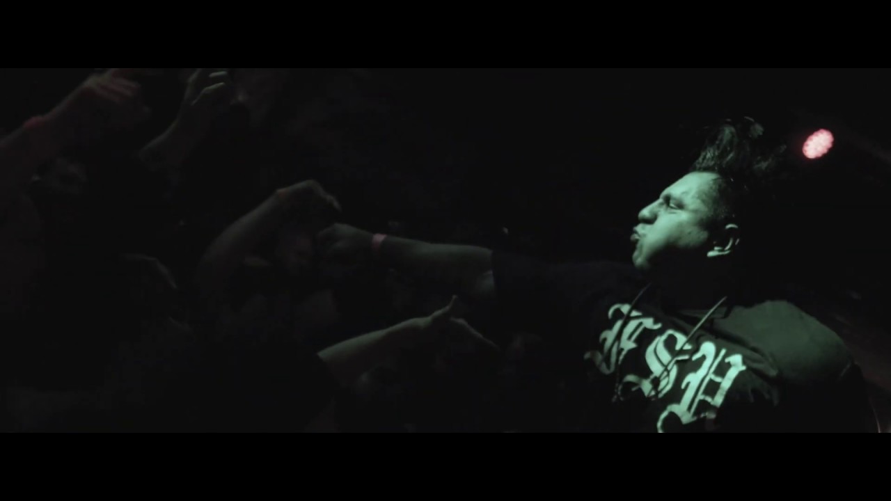 Rotting Out 