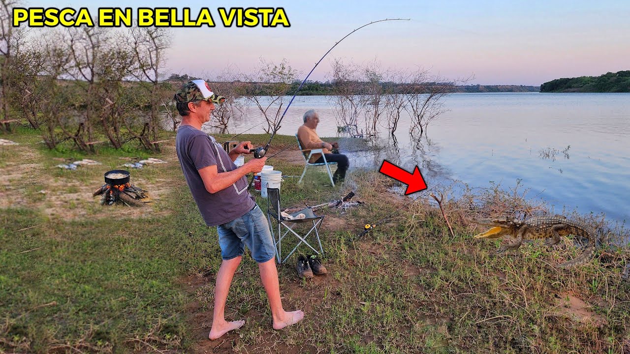 ME APARECE UN YACARE MIENTRAS PESCABA EN ARROYITO, Pesca en Bella Vista.