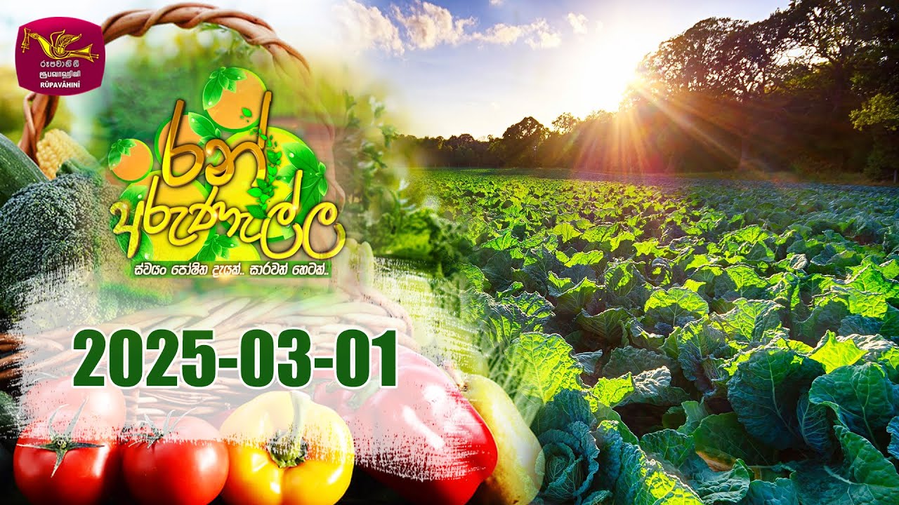 Ran Arunella | රන් අරුණැල්ල | ස්වයං පෝෂිත දැයක් සාරවත් හෙටක් | 2025-03-01 | Rupavahini