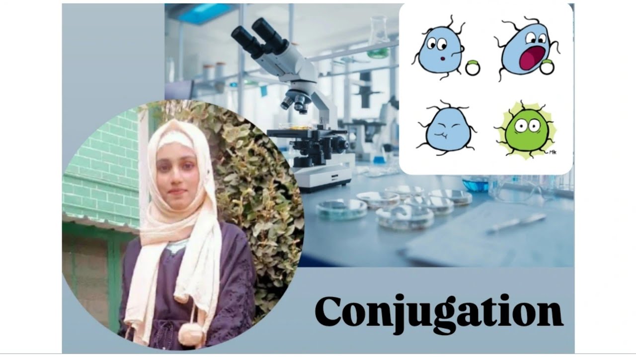 #Conjugation| Gene Transfer methods| Plasmids| F factor| F plasmid| HFR(High Frequency Recombinant)