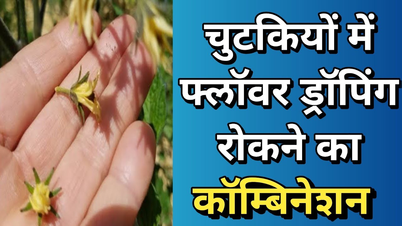 चुटकियों में फ्लॅावर ड्रॅापिंग 🌸 रोकने का कॅाम्बिनेशन