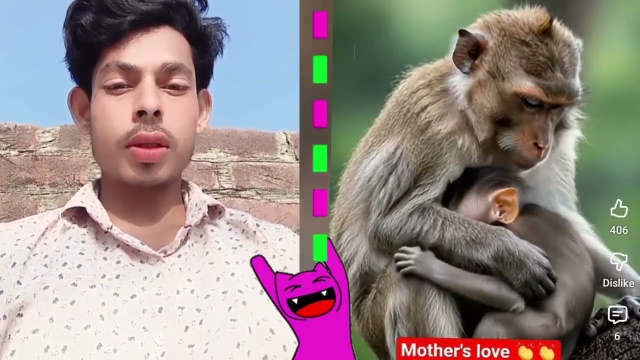 Bandaron ki comedy majedar Hansi majak
