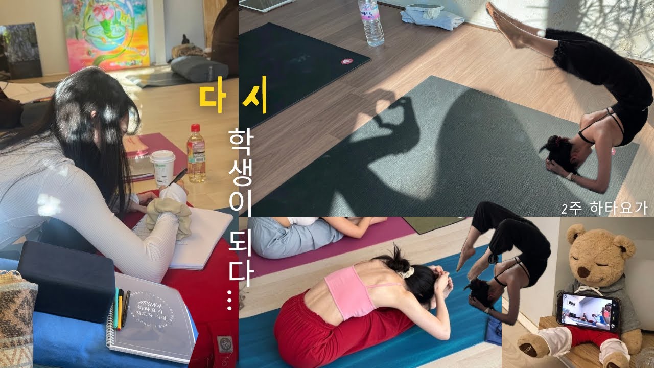 이미 강사인데, 다시 자격증을 따는 이유