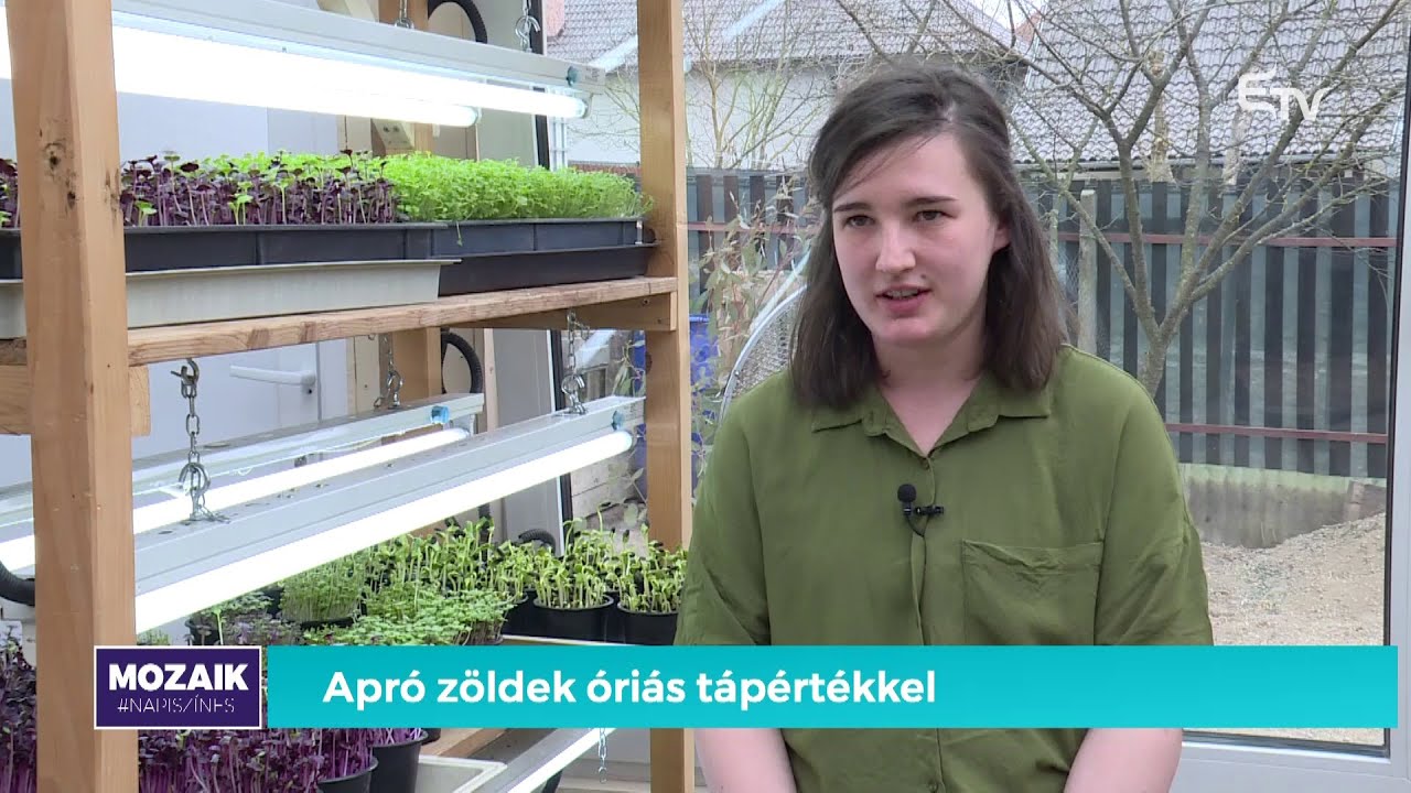 Apró zöldek óriási tápértékkel – Mozaik