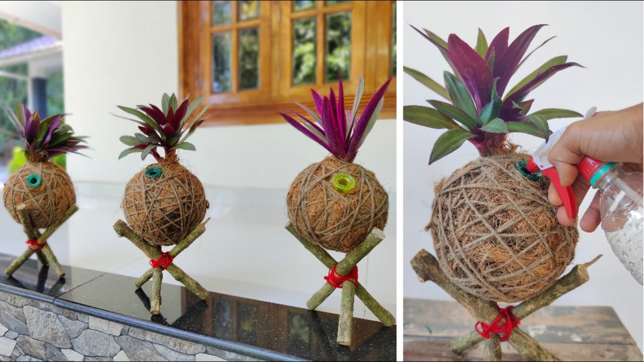 How to make kokedama at home