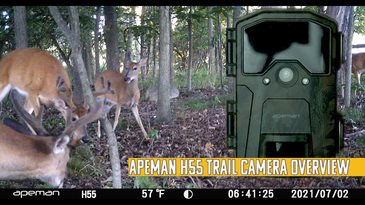 Apeman H55 20mp 1080p HD Sub $50 Budget Trail camera overview