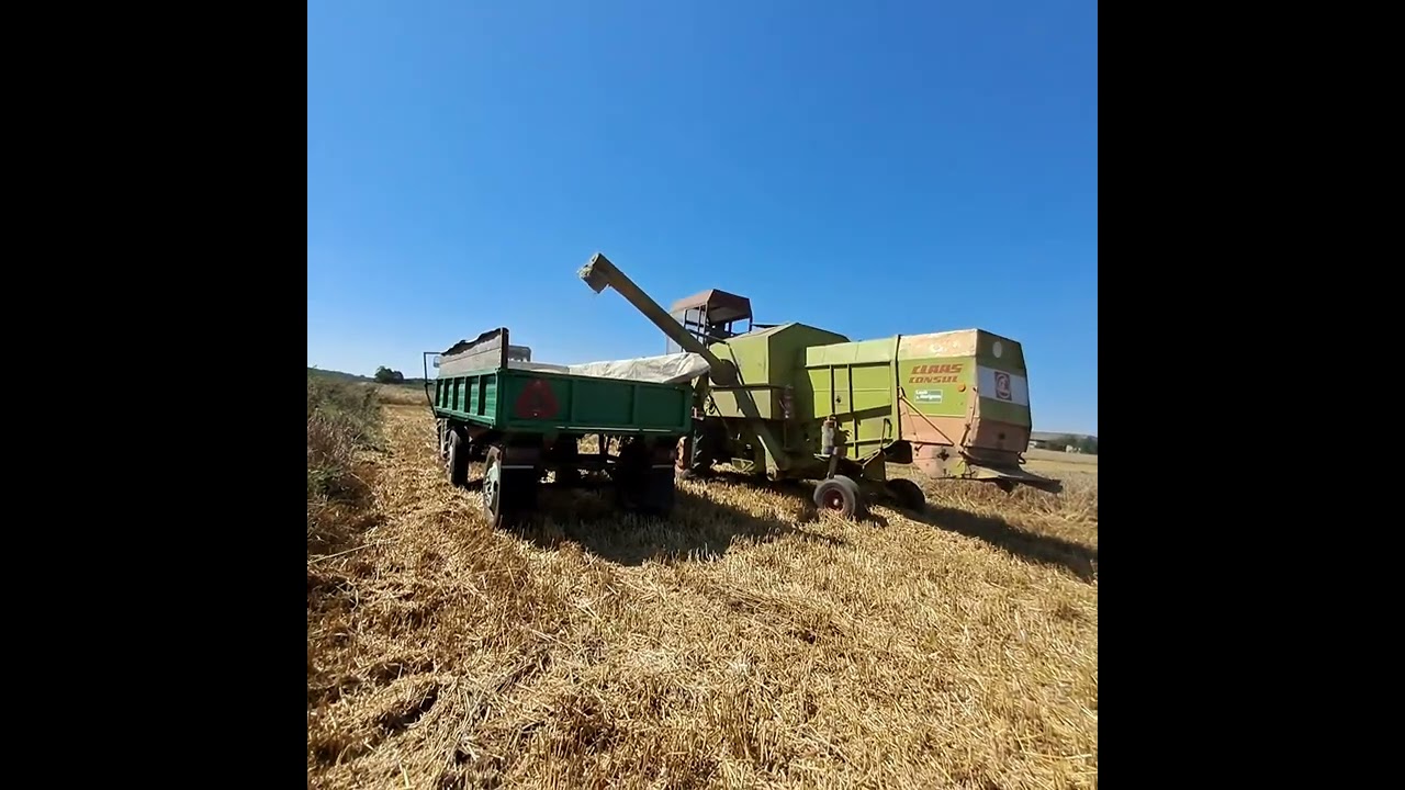 CLAAS CONSUL vs PSZENZYTO