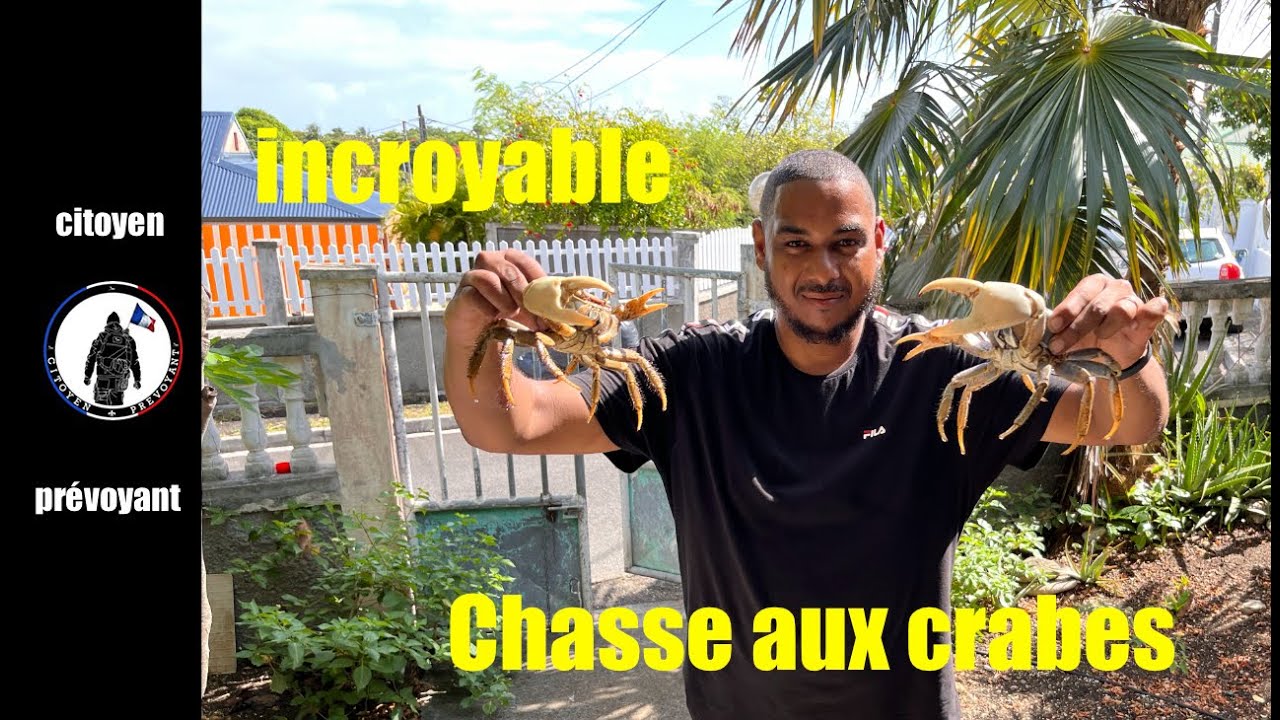 Guadeloupe : Les crabes, attrapez les tous !