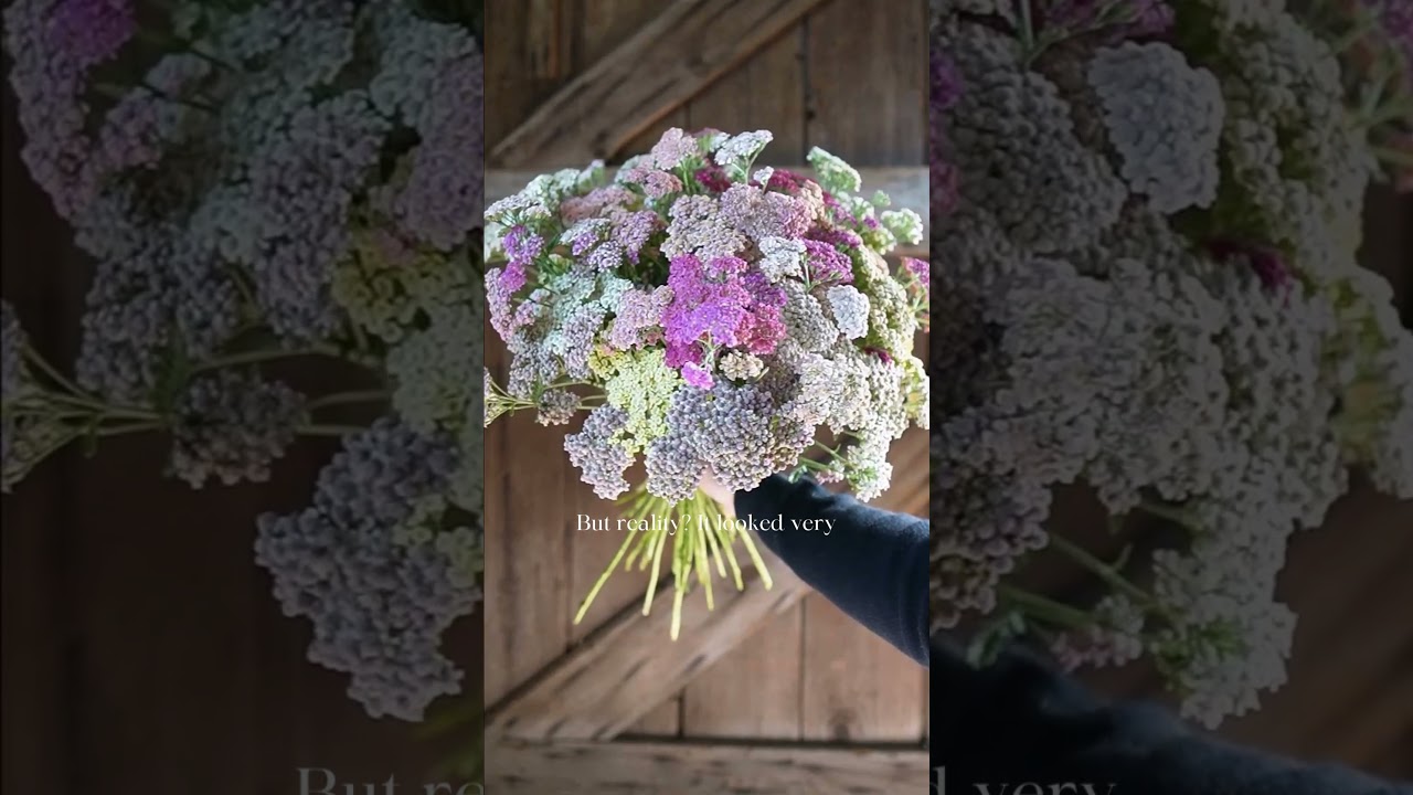 Honest Advice on How To Start a Flower Garden! ✨