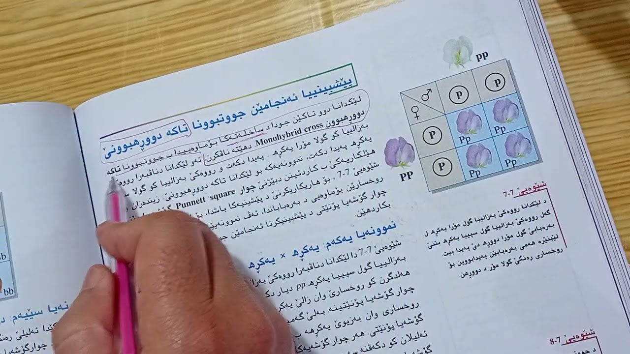 ١٠ مارس ٢٠٢٦