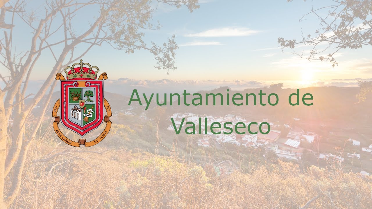 Sesión Plenaria - Ordinaria, lunes 29 de diciembre de 2025
