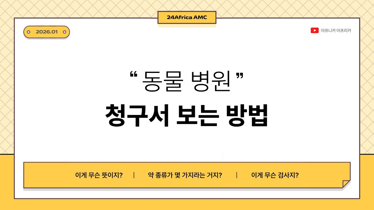 😺동물병원 청구서🐶 청구서는 왜 이렇게 복잡해⁉️