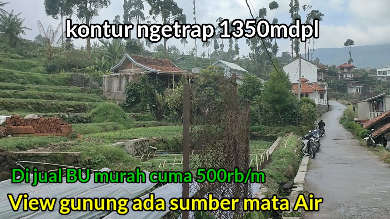 Suasana sejuk Bikin Betah view pegunungan Di jual Tanah luas 2000m harga 500rb/m nego