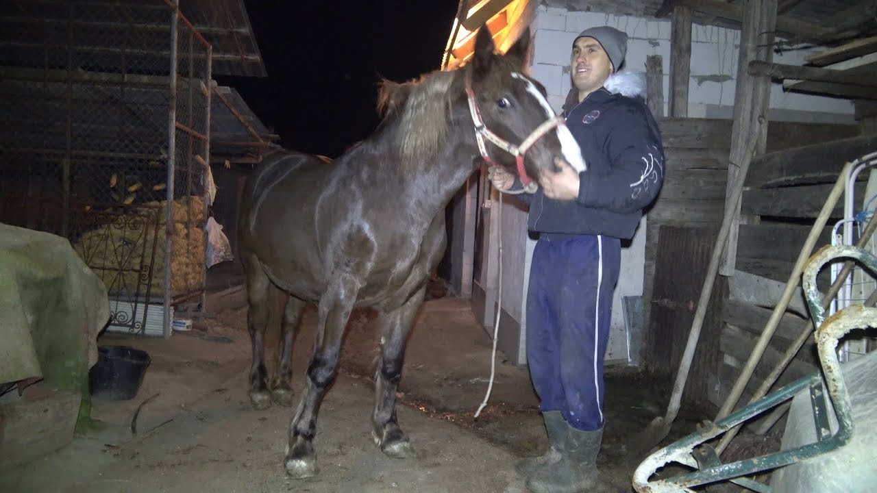 In vizita la Romeo de la Romanasi, Salaj, impreuna cu Stelica si Ita Mihai - 2019 2020