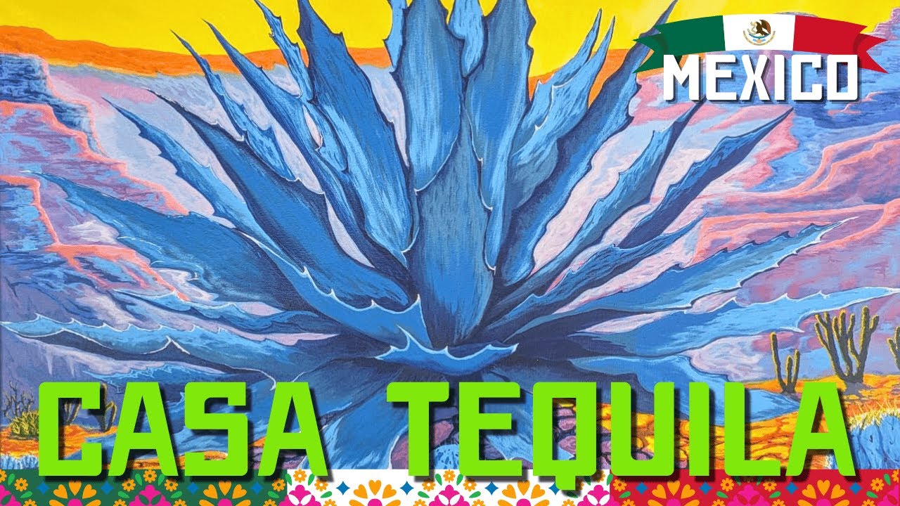 Casa Tequila in Puerto Morelos, Mexico! (THE ULTIMATE VILLA)