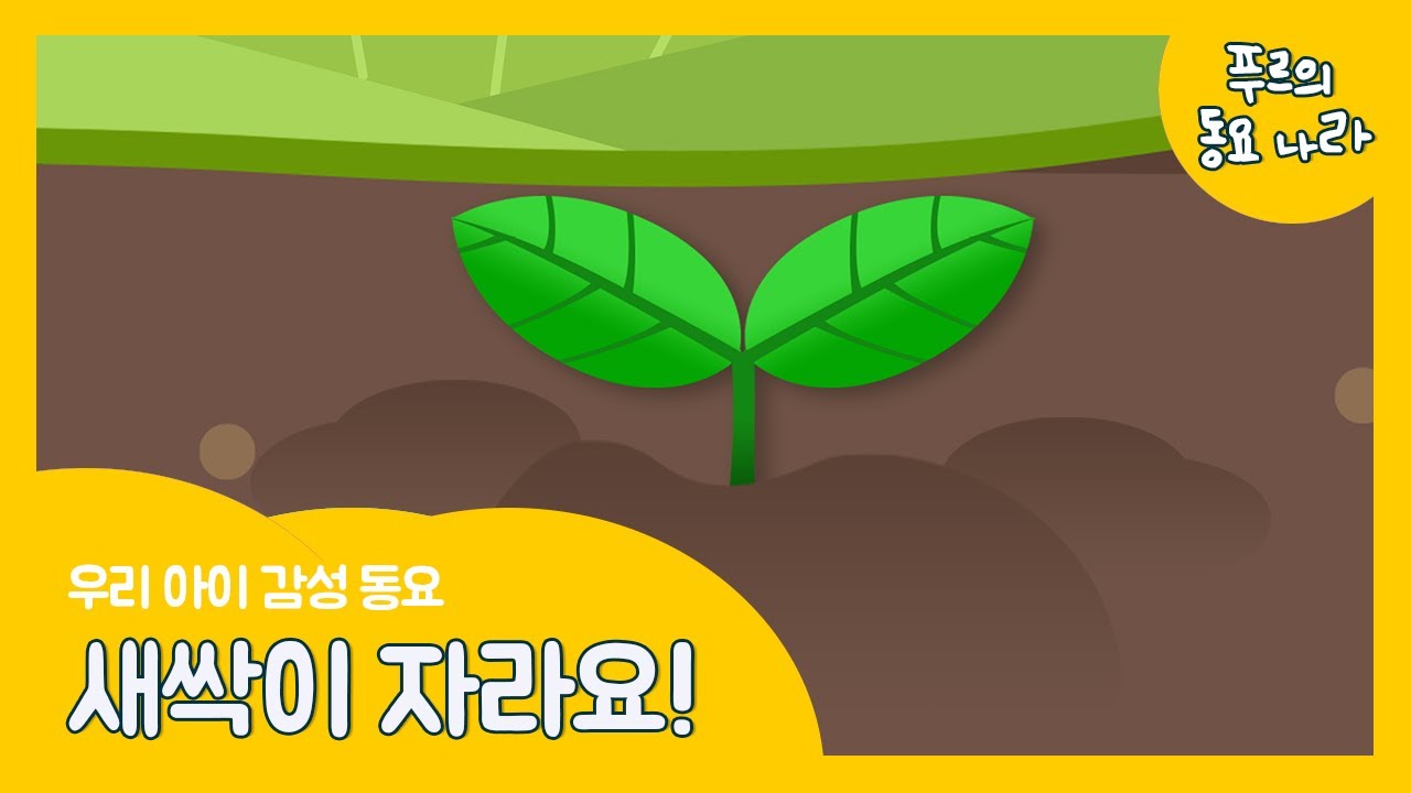 ▶씨앗이 나무로~ 꽃으로~ 열매로~ | 새싹이 자라요 | 인기동요 | 씨앗 동요 | 유치원 누리 과정 | K-Kids song &hearts; 푸르의 동요나라 푸르월드frrWorld &hearts;