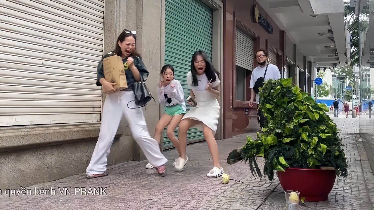 Tổng hợp những trò đùa hay nhất của Bushman 2023 / Ultimate Best of Bushman Prank Compilation 2023