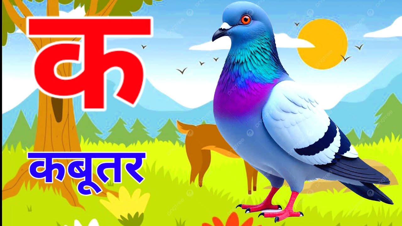 K se kabutar - k se kabutar kh se khargosh - a se anar, aa se aam | abcd, for kids 