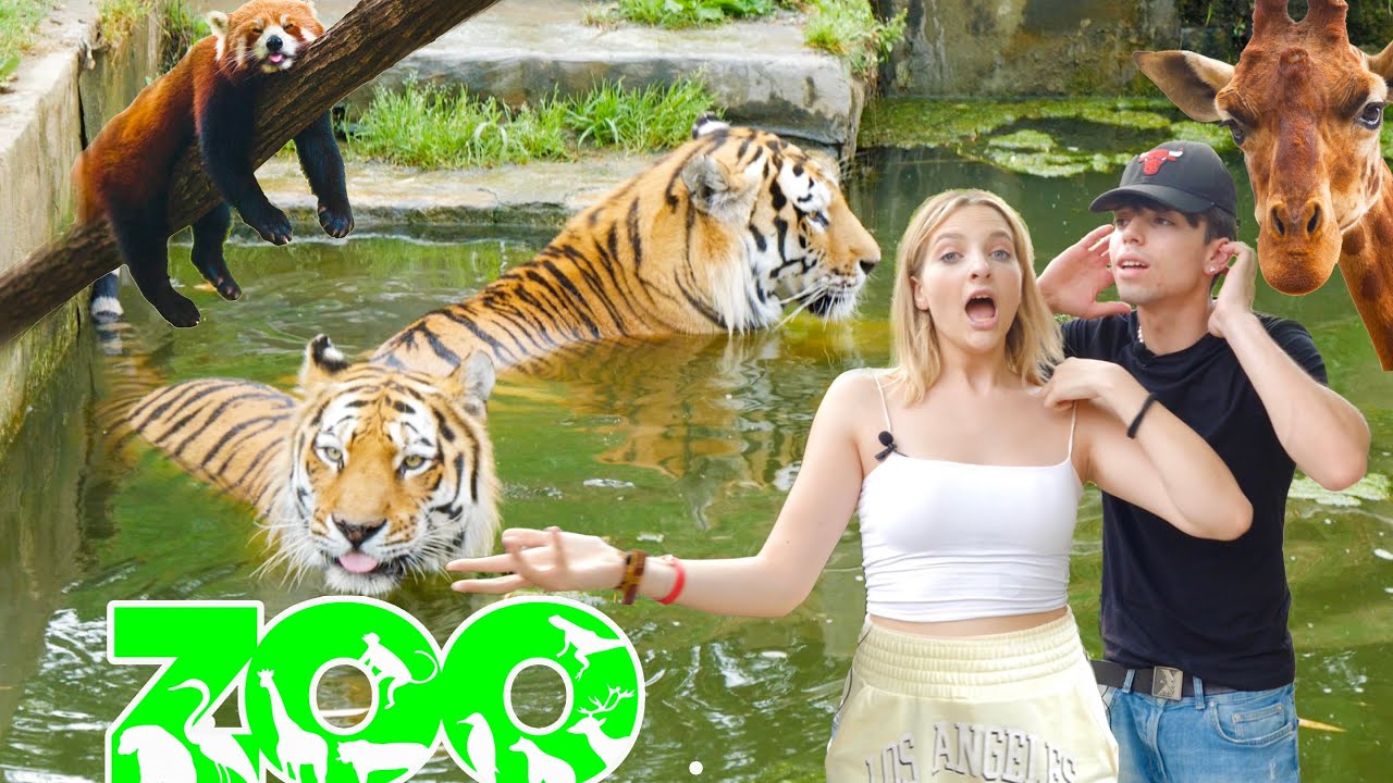 ANDIAMO ALLO ZOO A VEDERE GLI ANIMALI. *INCREDIBILE*