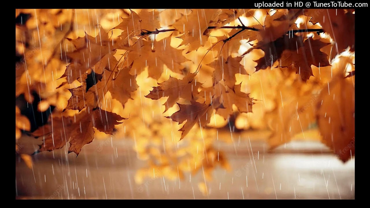 Yves Montant : Les feuilles mortes