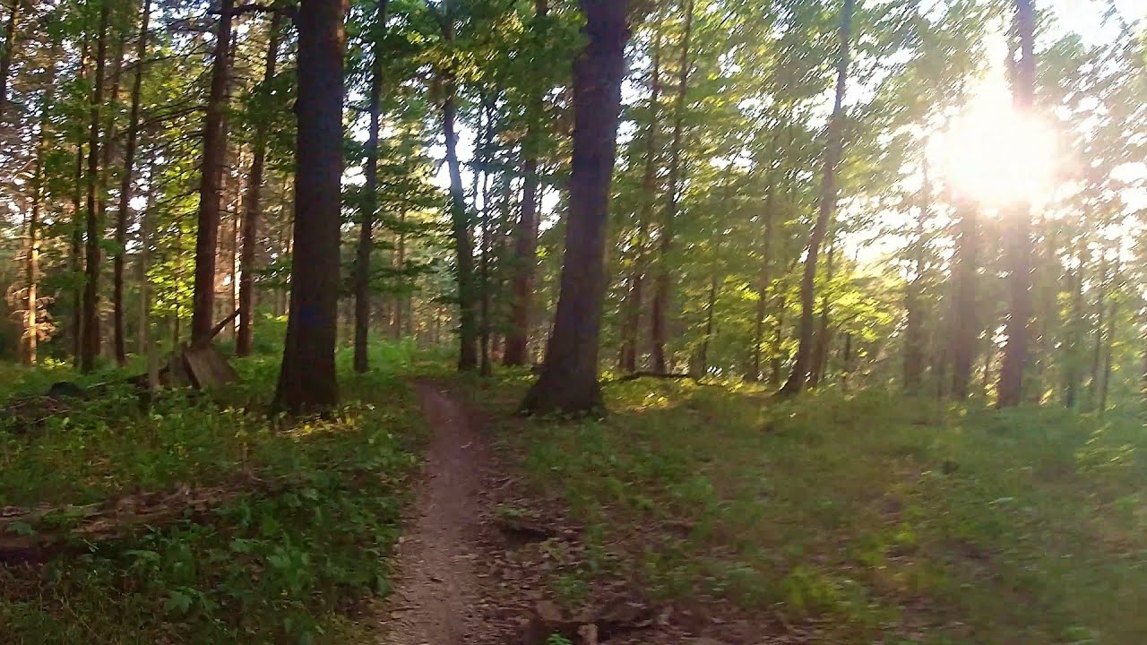 Kreuzberg-Trail Hemsbach | BikeLifeBergstraße | 4K UHD
