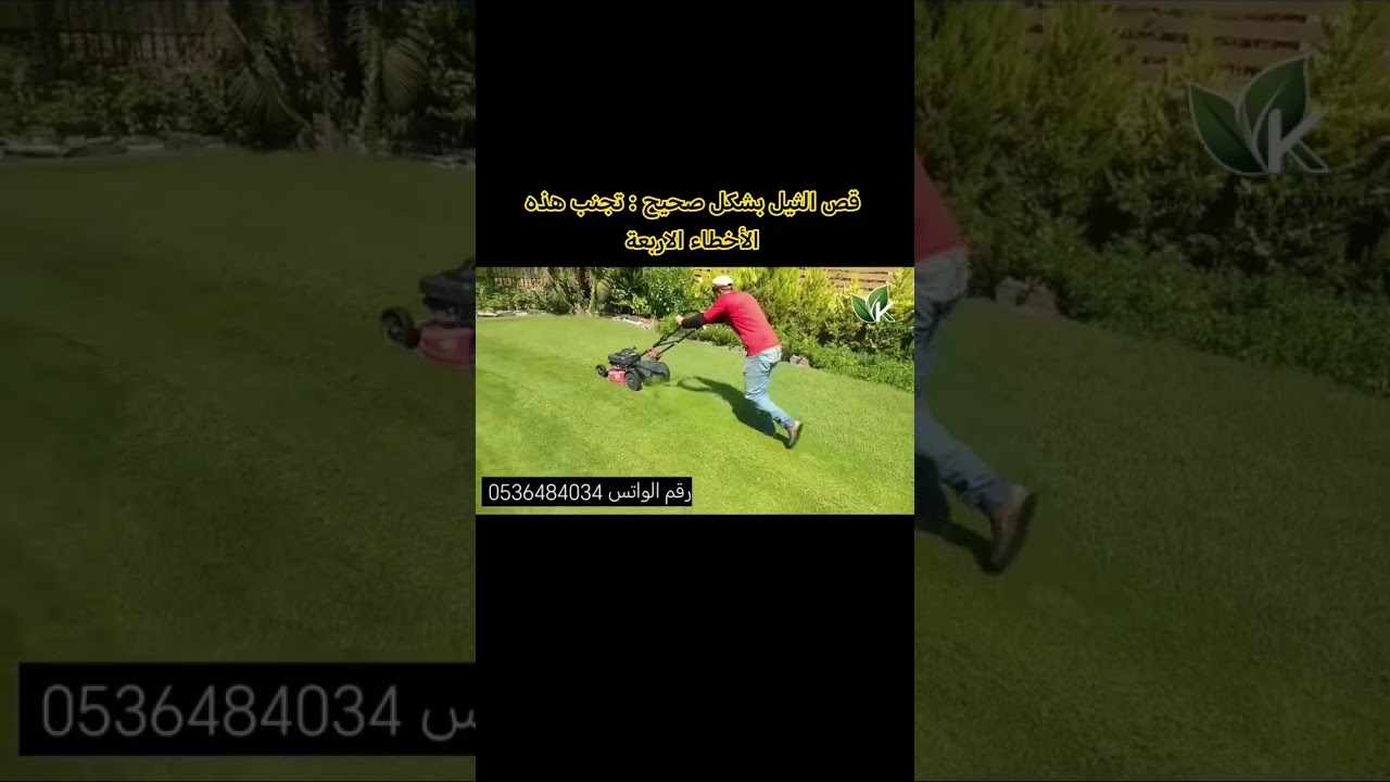كيفية قص النجيل بشكل صحيح و تجنب الأخطاء الشائعة
