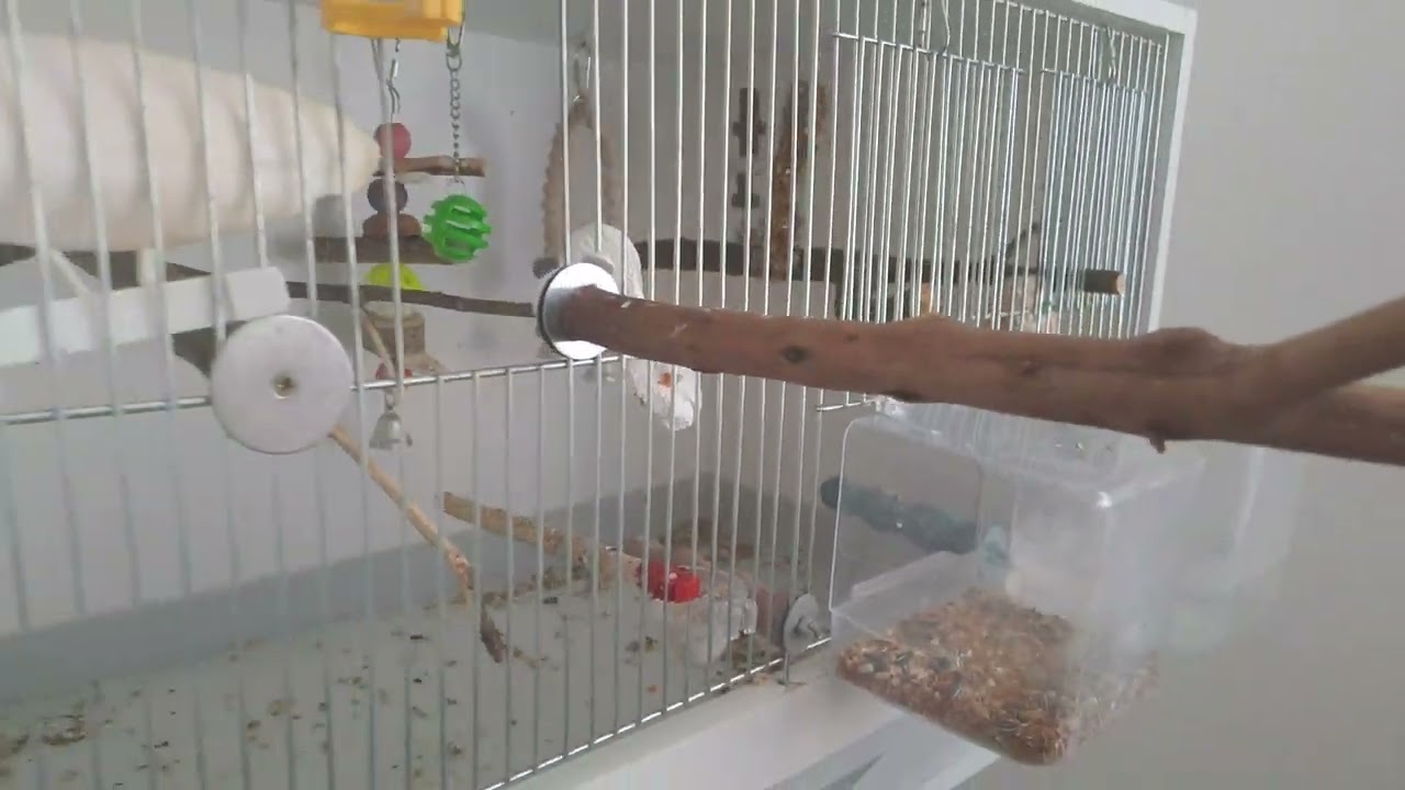 Uchycení bidélek v kleci