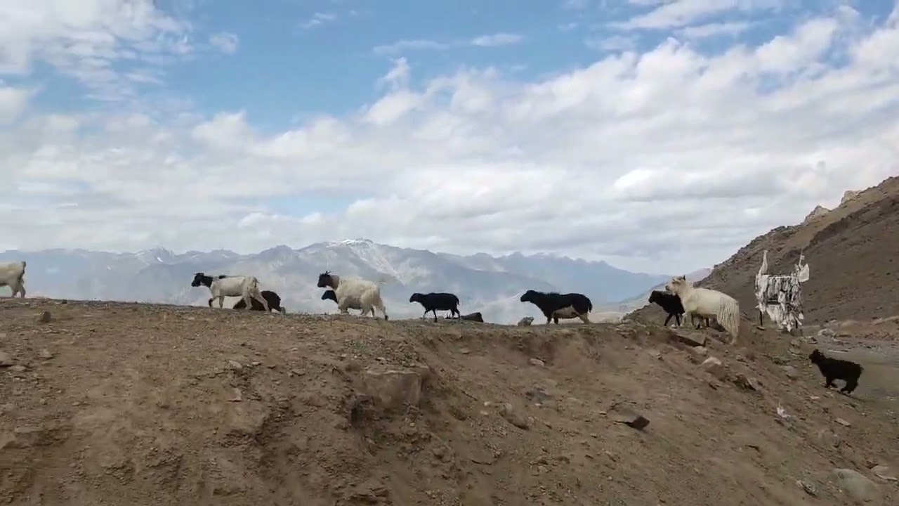 Hamboting La, is a high-altitude pass located on the Kargil Batalik Road