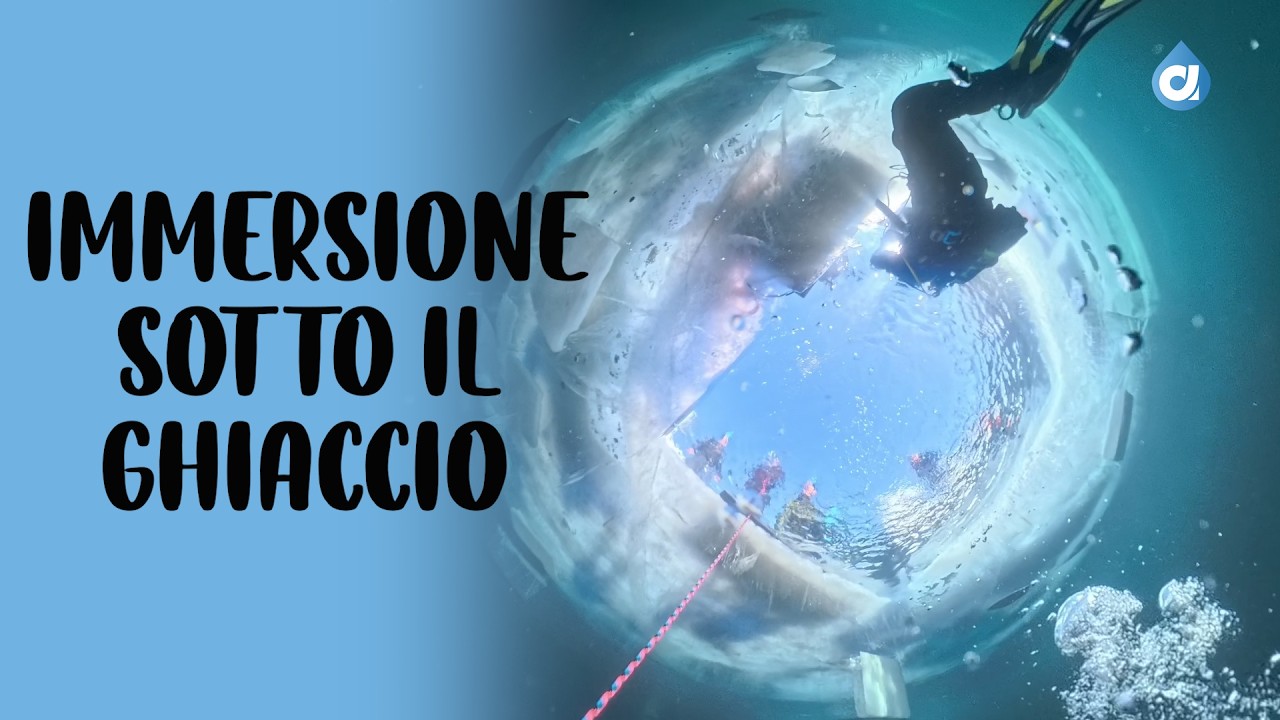 Immersione sotto il ghiaccio: il coraggio sotto zero