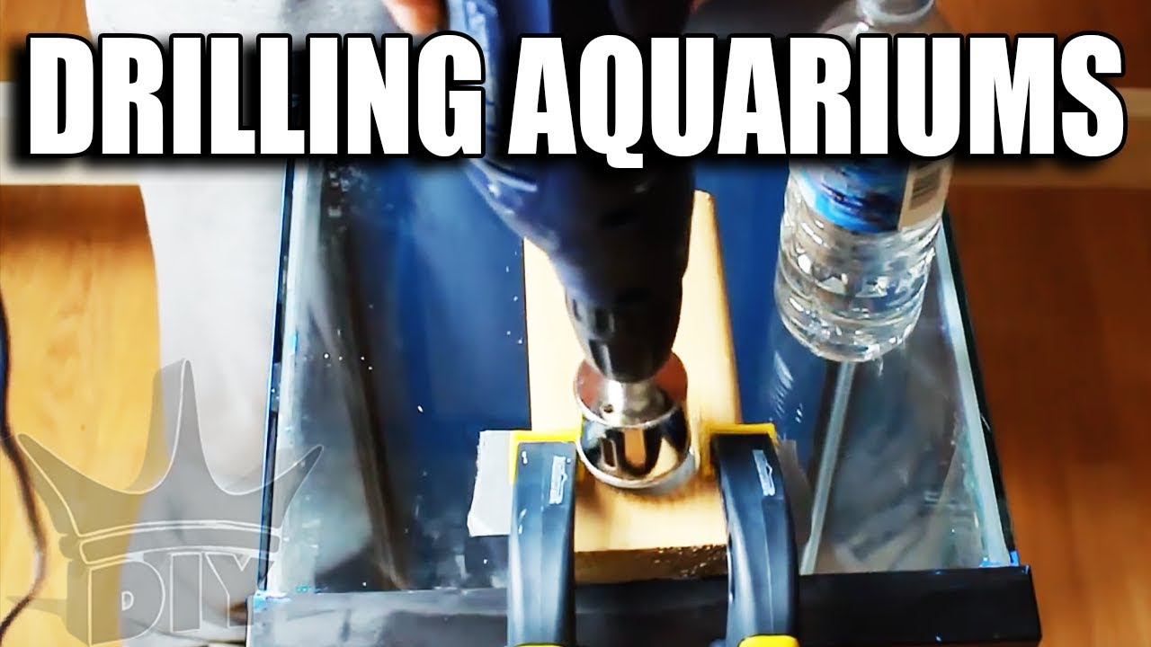HOW TO: Drill A Glass Aquarium