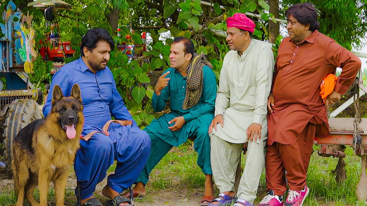 Sari property kuty k naam | Standup Comedy By Rana Ijaz | New Video Rana Ijaz #comedymovie #funny