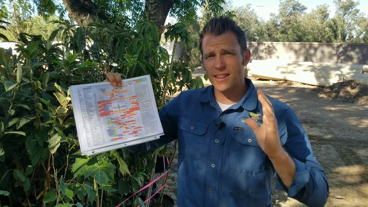 Plant Selection