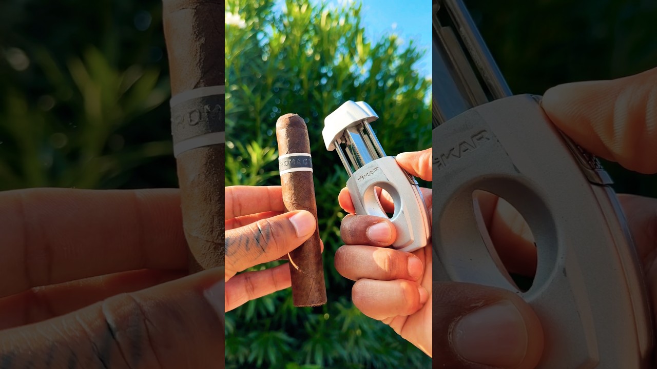 ASMR 😋😎 Enjoying a toasty RoMa Craft CroMagnon cigar 🍂💨 #asmr #cigar #shorts #ytshorts #art