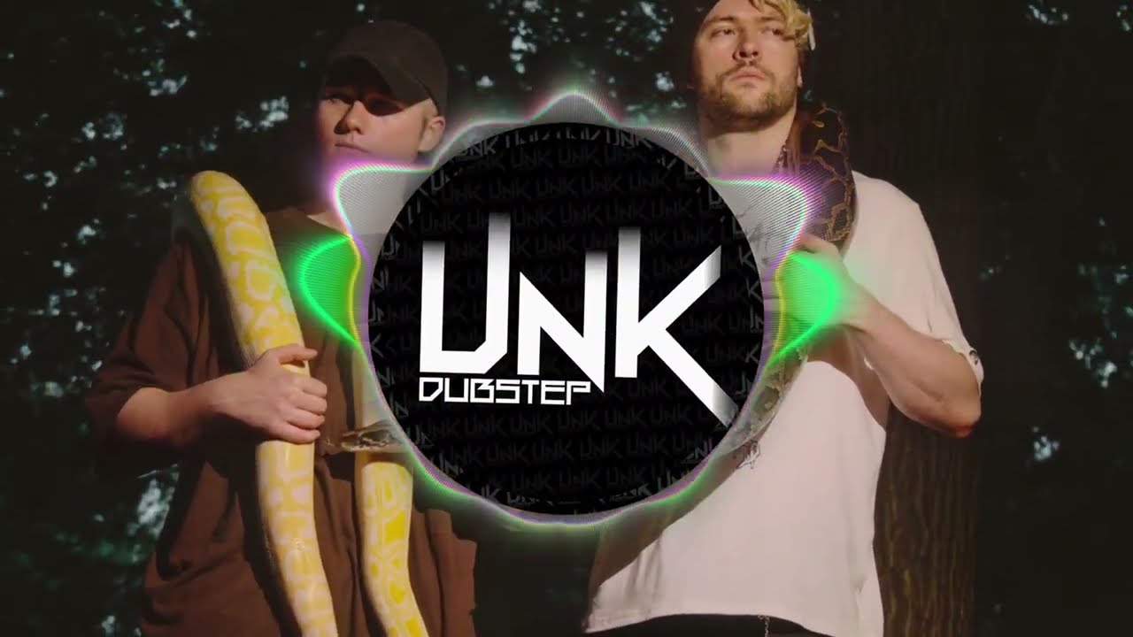 Virtual Riot & Viperactive - What U Got