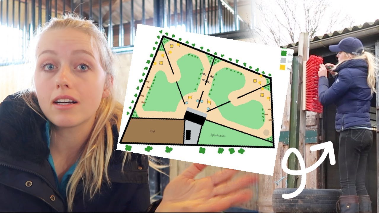 Dit zijn plannen voor de Paddock Paradise en eigen stal | Vlog #265