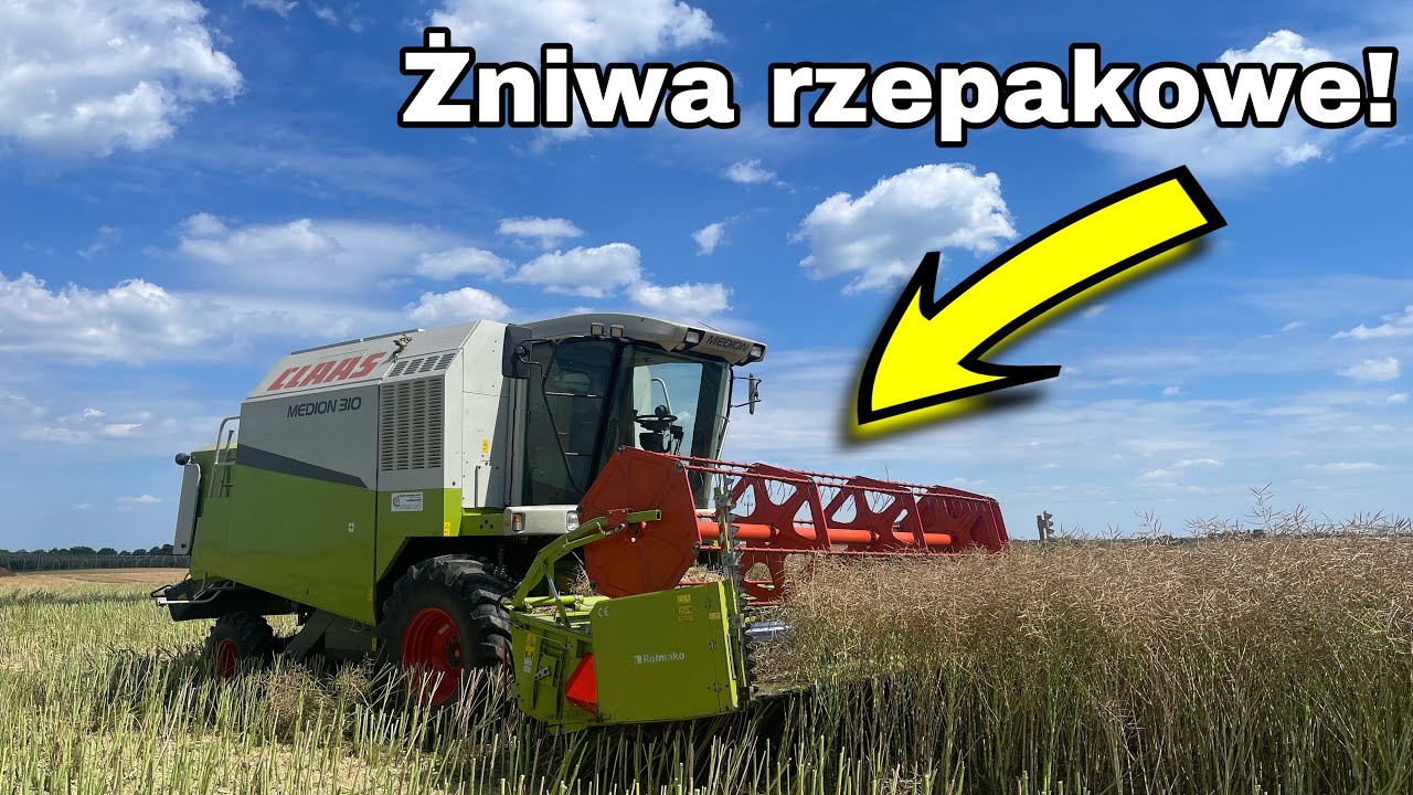 #612- To jest zdecydowanie rok na rzepaki! Jak sypie pierwsze pole?Claas Medion 310 w akcji rzepak!