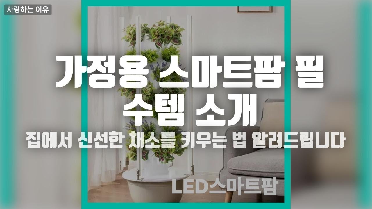 실내에서 식물키우기, 그렇게 쉬울줄이야! 최고의 식물재배기 3종 비교