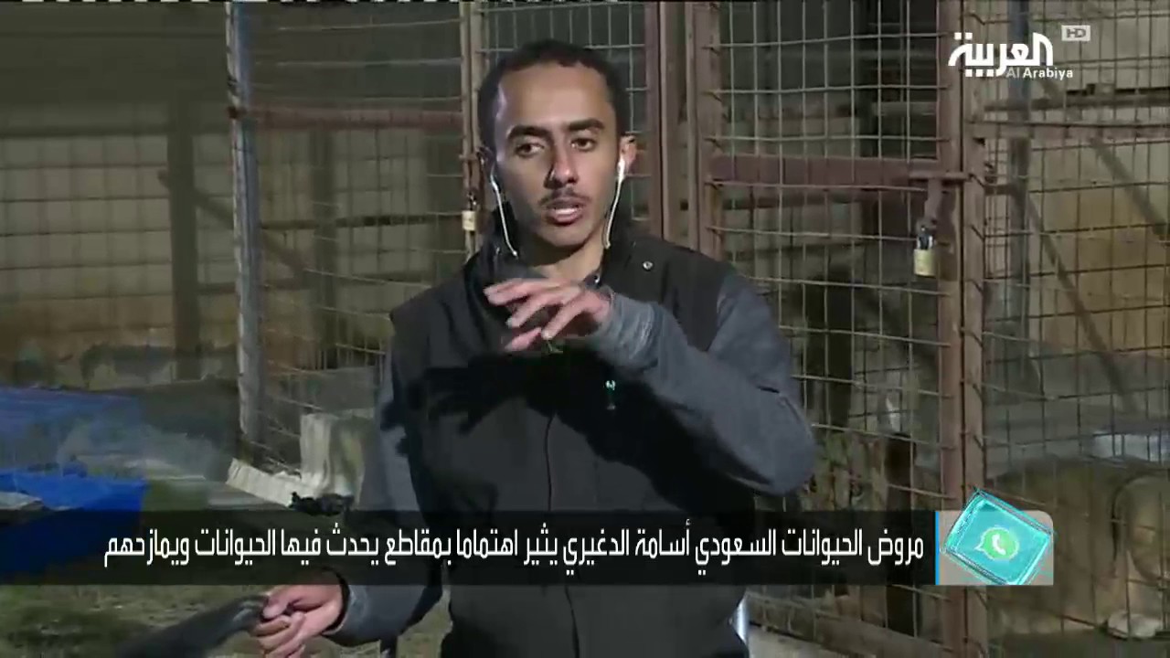 تفاعلكم: سعودي يشارك منزله مع حيوانات مفترسة
