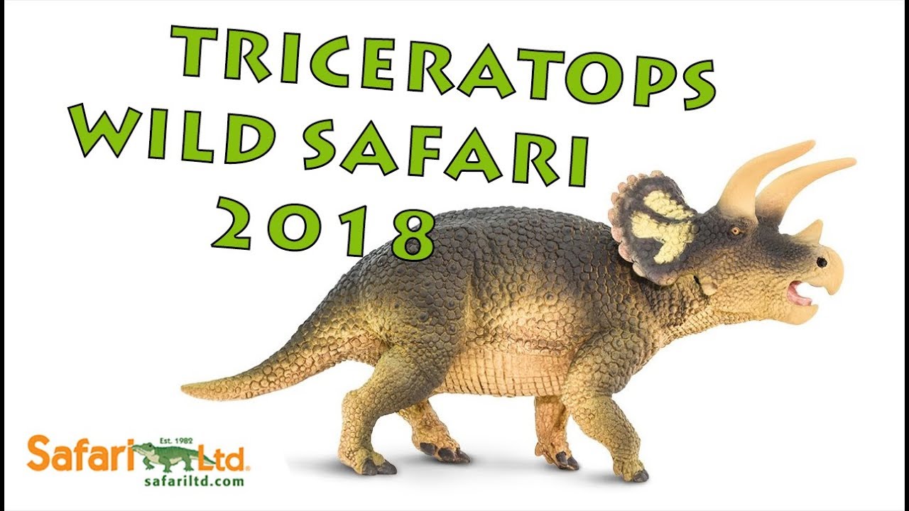 Triceratops Wild Safari 2018
