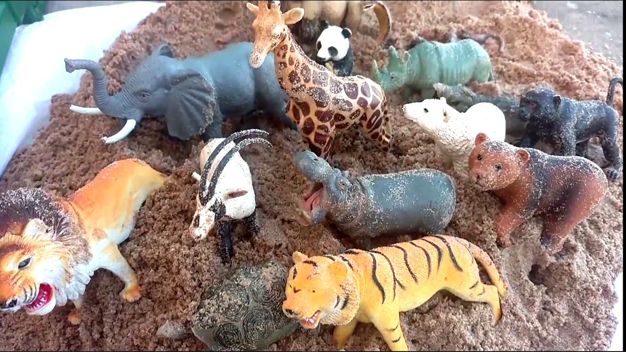 Zoo Animal Toy Surprise Hidden In Sand/Dump Truck /Safari Ltd Schleich Wild Animal Toys