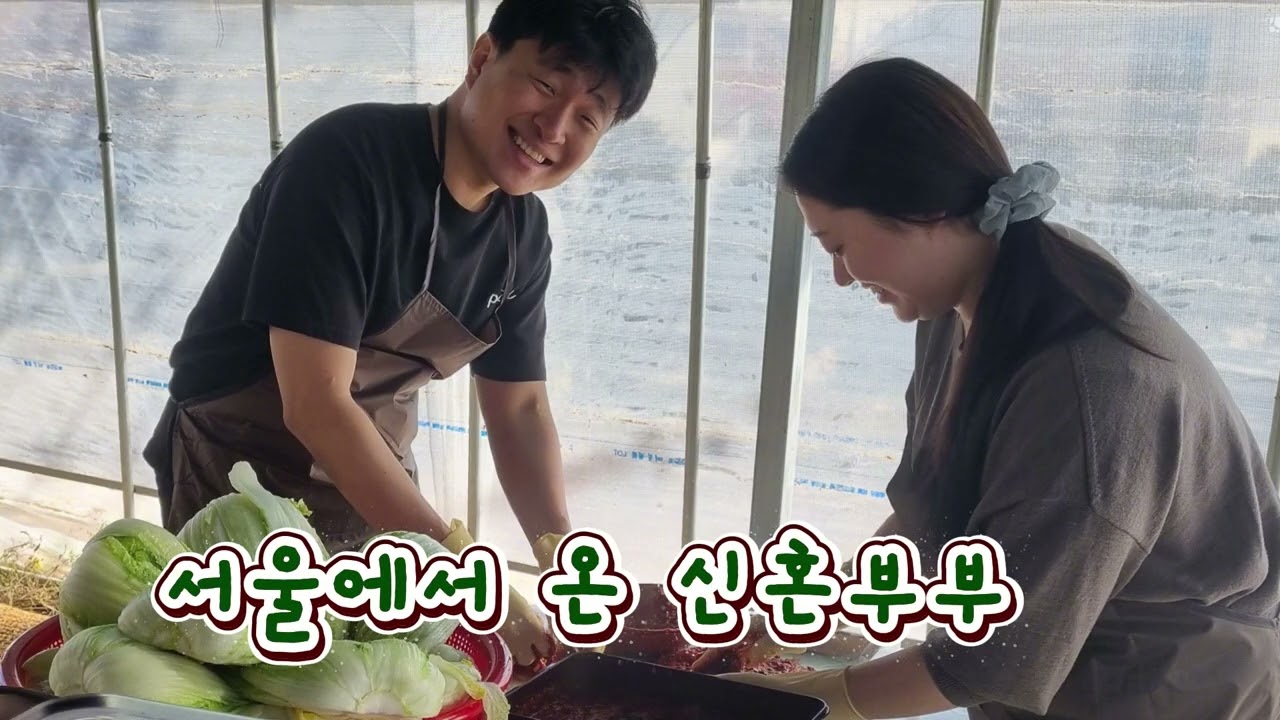 김장김치는 백마권역으로..